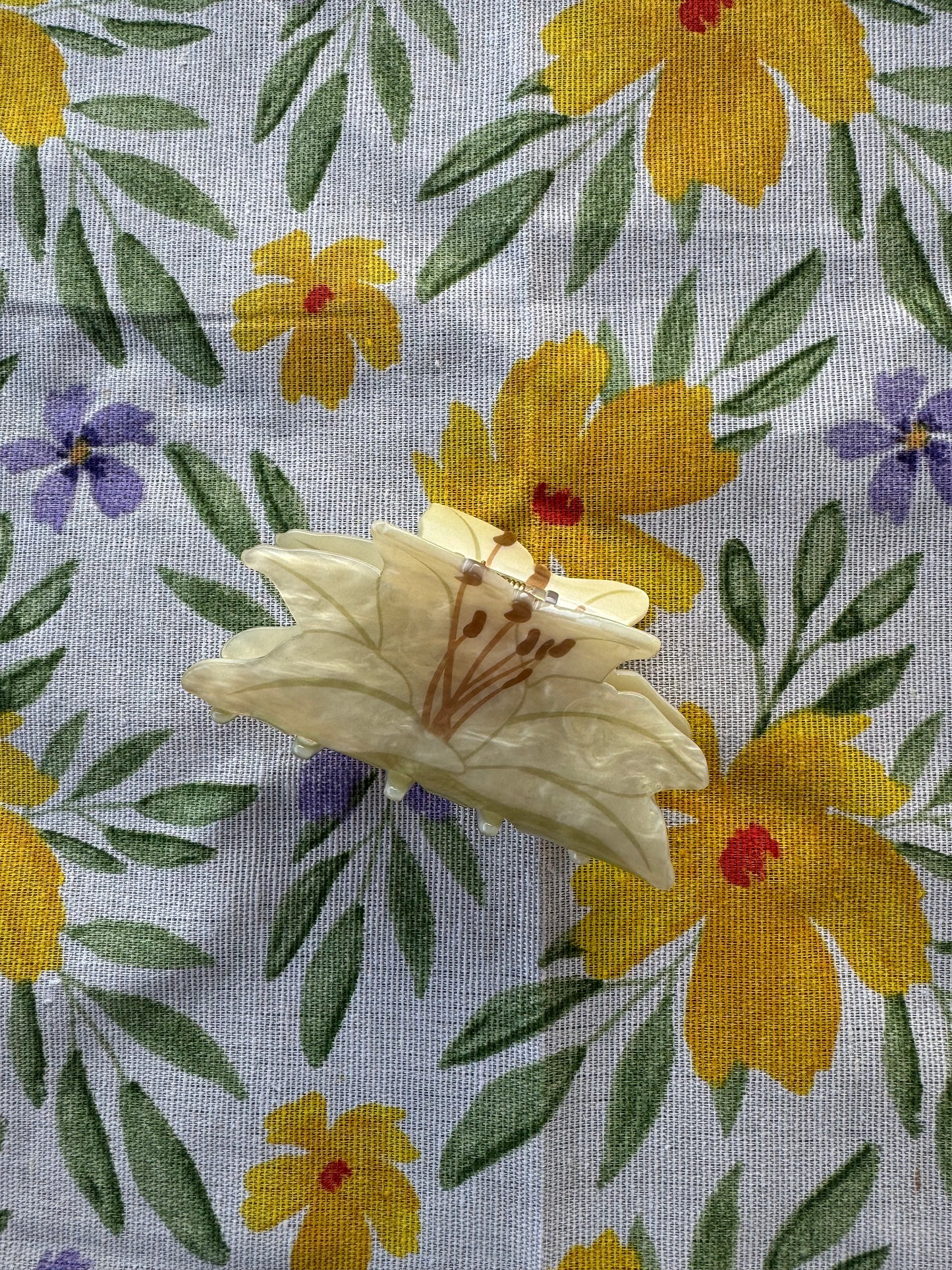 Mollettone orchidea