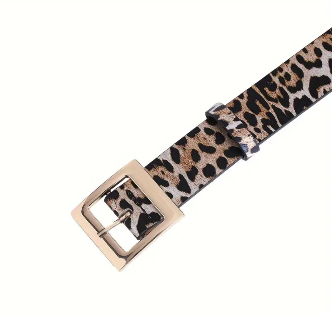 Cintura Leo