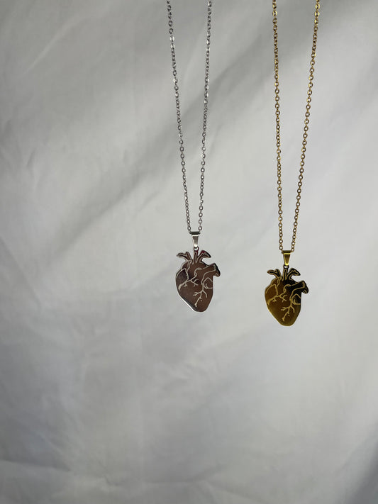Cuore anatomico big