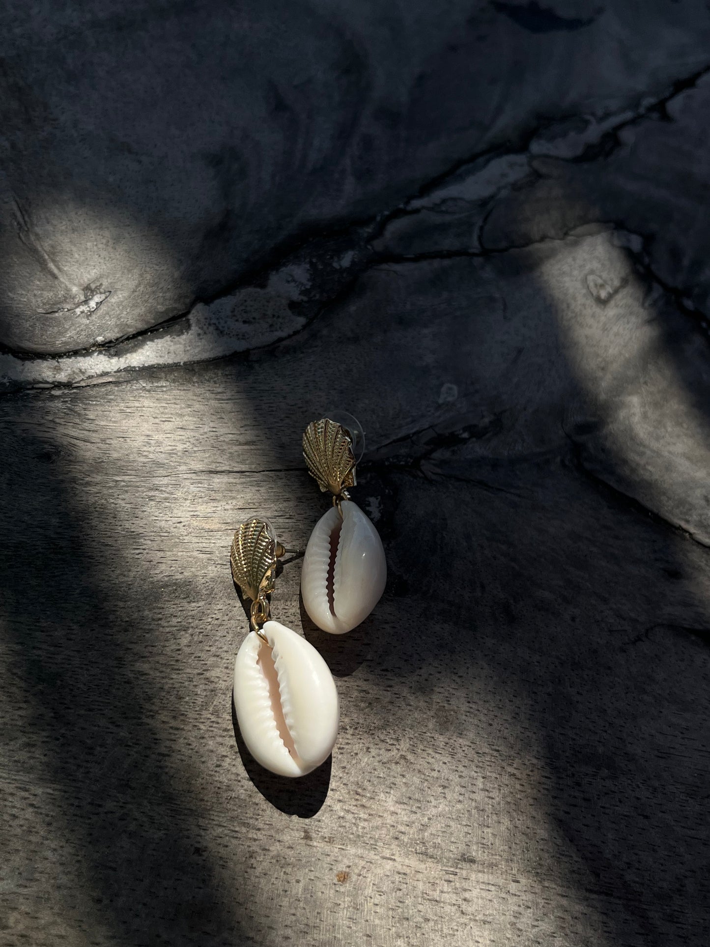 Orecchini “conchiglia”